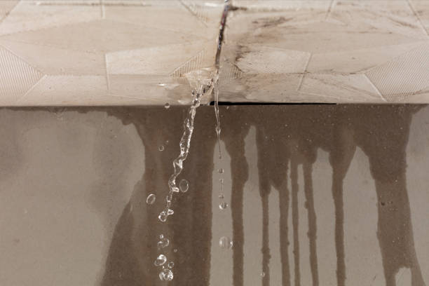 Professional Burst Pipe Cleanup technician working in Sugar City, ID